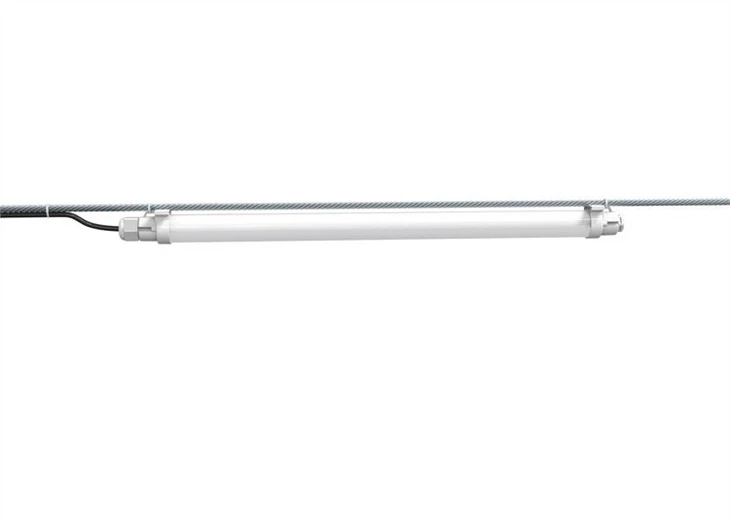 artificial lighting for chickens