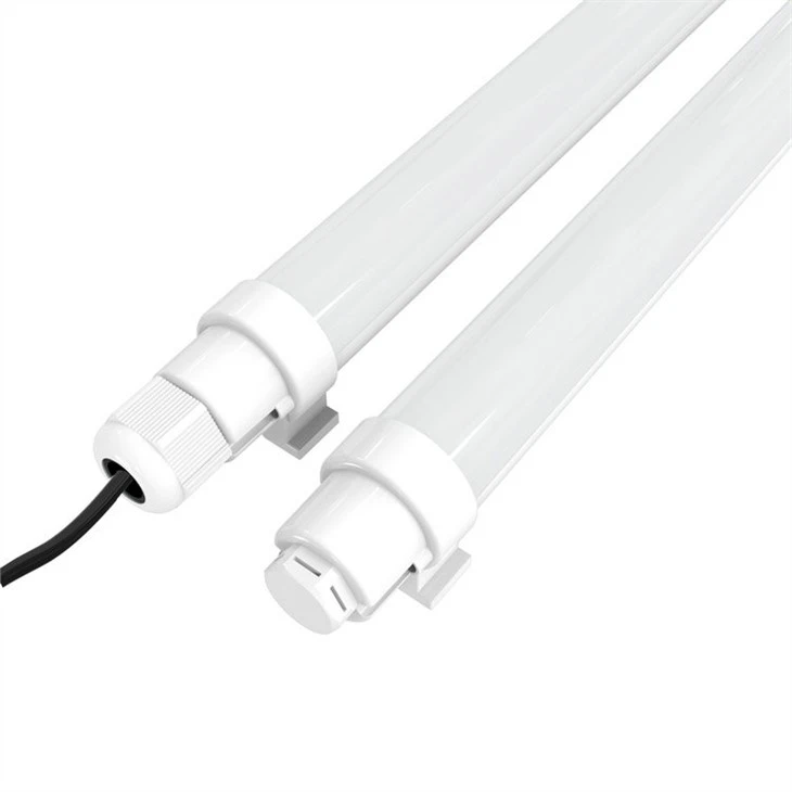 egg laying lights for chickens
