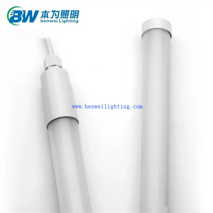 light inside chicken coop