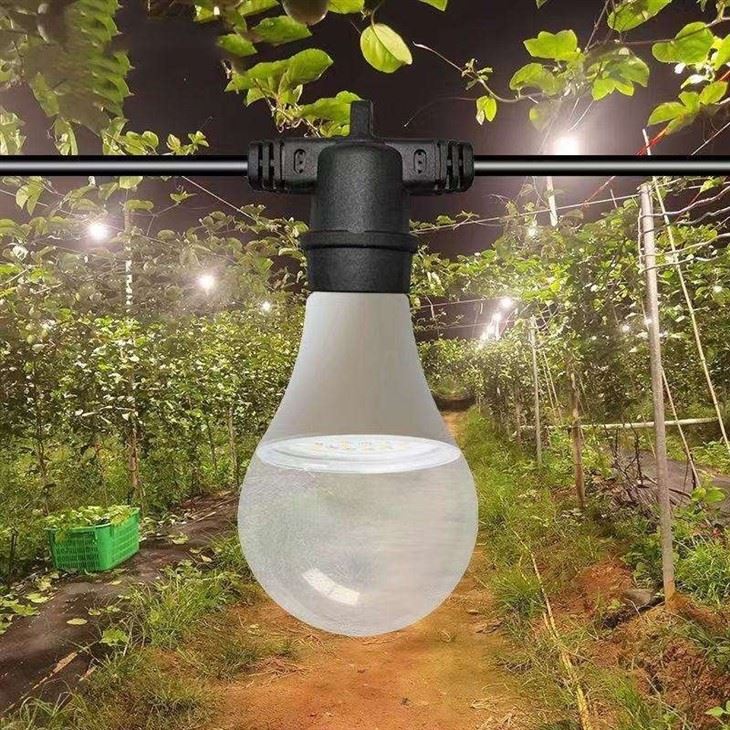 15w Full Spectrum Pitahaya LED Plant Light best