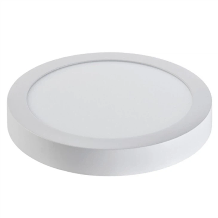 Disk Shaped Ceiling Light