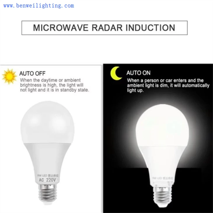 motion sensor light