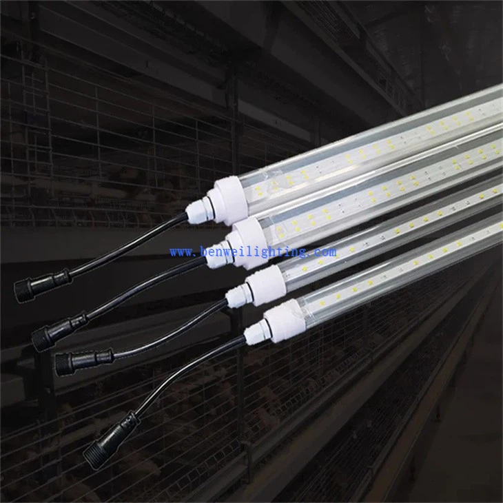 Moisture-resistant Fowl Shed Lighting (4)