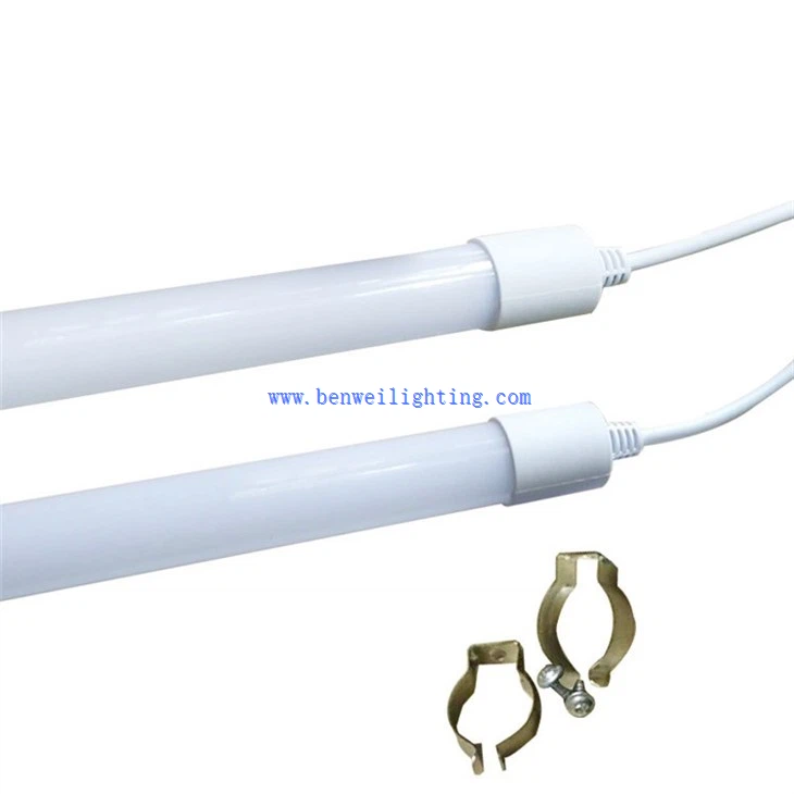Moisture-resistant Fowl Shed Lighting (5)
