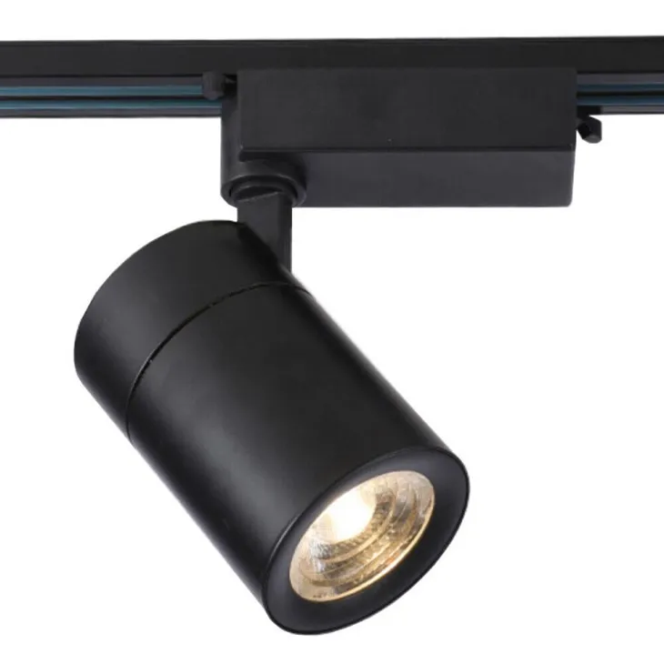 Movable Track Light