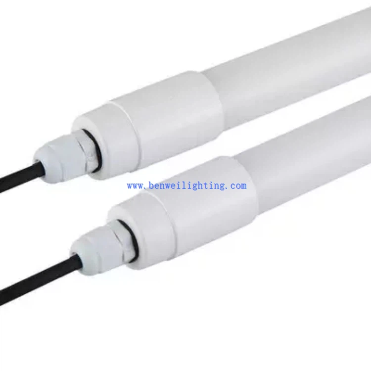 lighting in poultry production lighting in poultry production